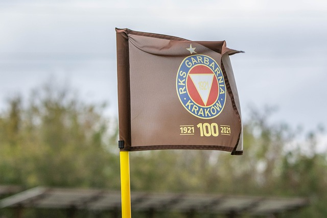 灵活多变的 灵活多变的