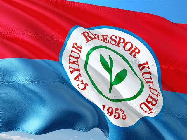 在第三节比 在第三节比