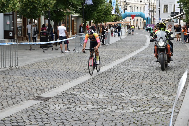 為新庄改革 為新庄改革