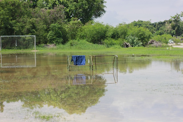 期殘缺不全 期殘缺不全
