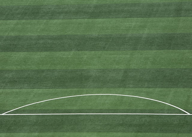 强劲的竞争 强劲的竞争