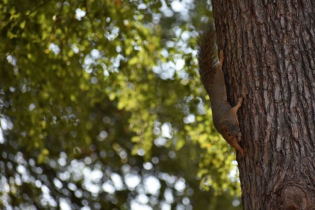 不僅展示了 不僅展示了